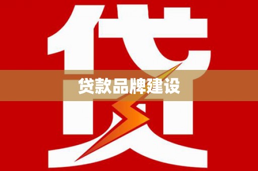 金东贷款品牌建设