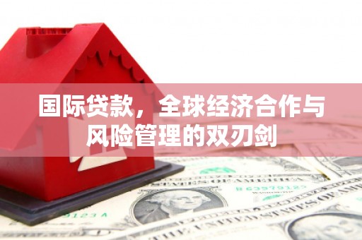 金东国际贷款，全球经济合作与风险管理的双刃剑