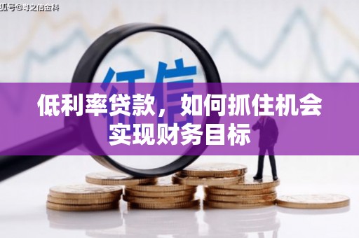 金东低利率贷款，如何抓住机会实现财务目标