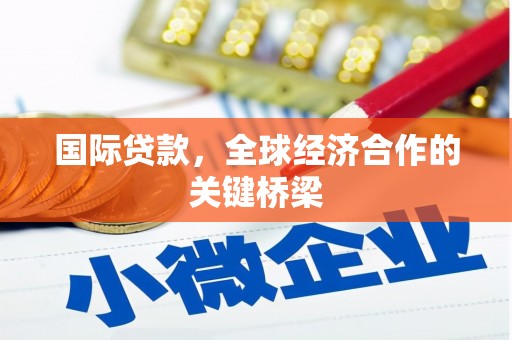金东国际贷款，全球经济合作的关键桥梁