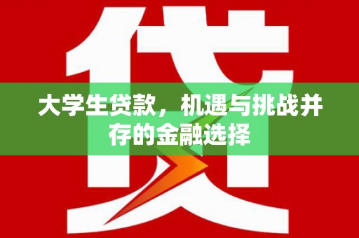 金东大学生贷款，机遇与挑战并存的金融选择
