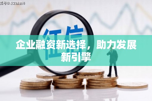 金东企业融资新选择，助力发展新引擎