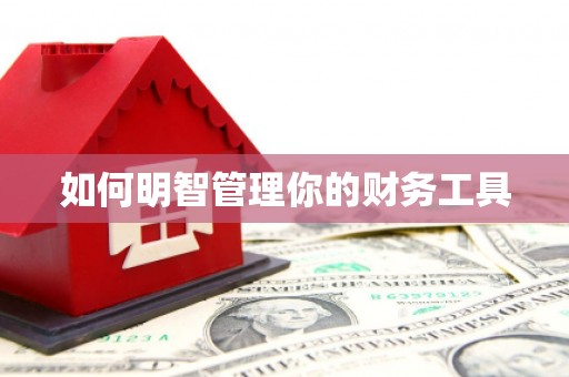 金东如何明智管理你的财务工具