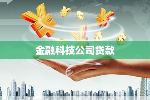 金东金融科技公司贷款