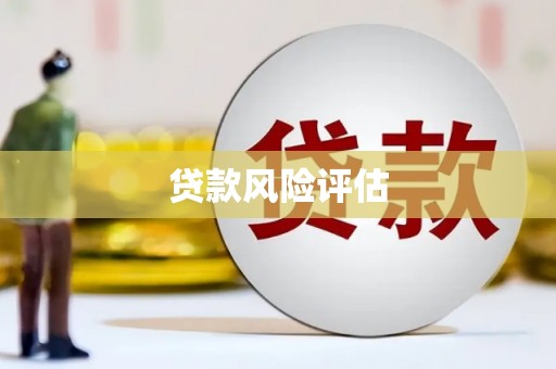金东贷款风险评估