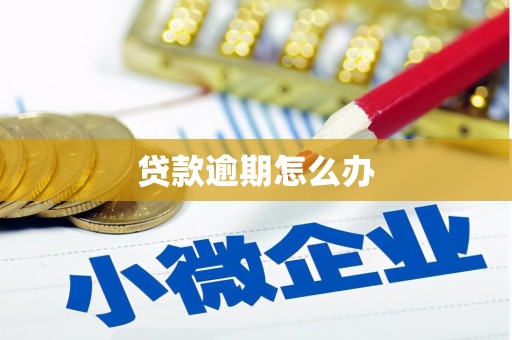 金东贷款逾期怎么办