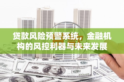 金东贷款风险预警系统，金融机构的风控利器与未来发展