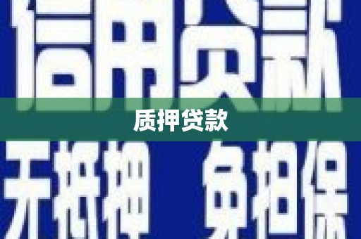 金东质押贷款