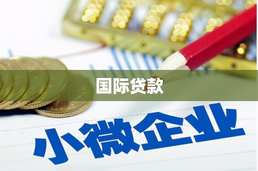 金东国际贷款