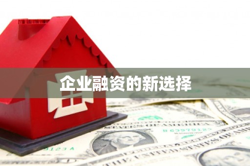 金东企业融资的新选择
