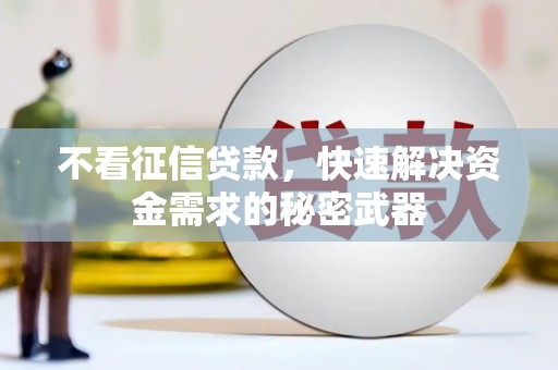 金东不看征信贷款，快速解决资金需求的秘密武器