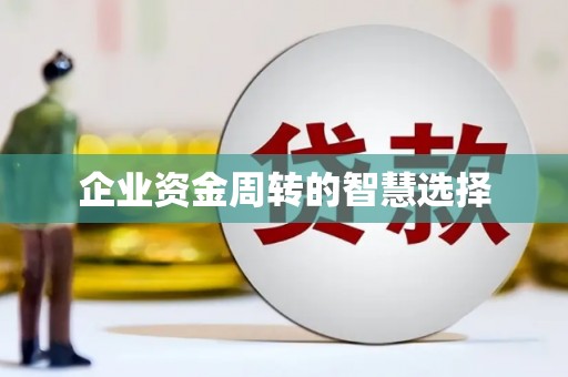 金东企业资金周转的智慧选择
