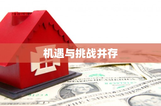 金东机遇与挑战并存
