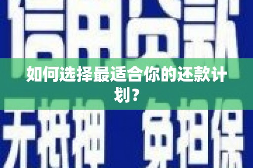 金东如何选择最适合你的还款计划？