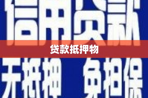 金东贷款抵押物