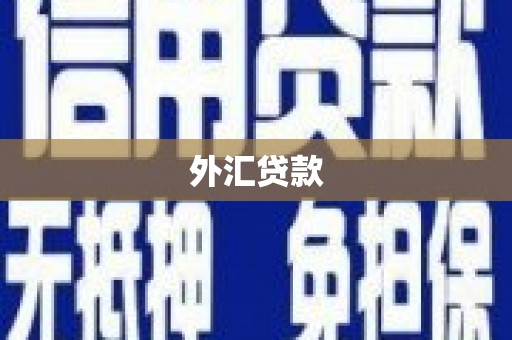 金东外汇贷款