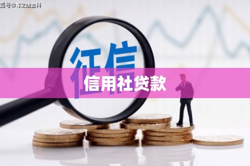 金东信用社贷款