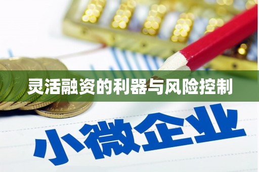 金东灵活融资的利器与风险控制