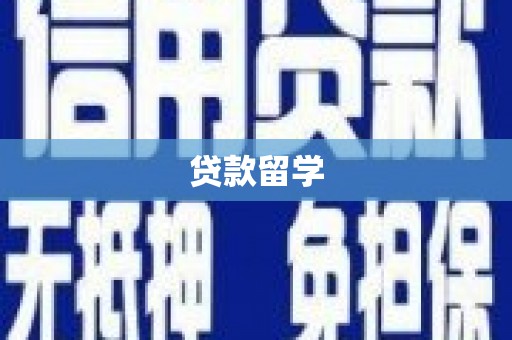 金东贷款留学