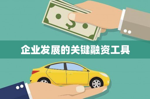 金东企业发展的关键融资工具