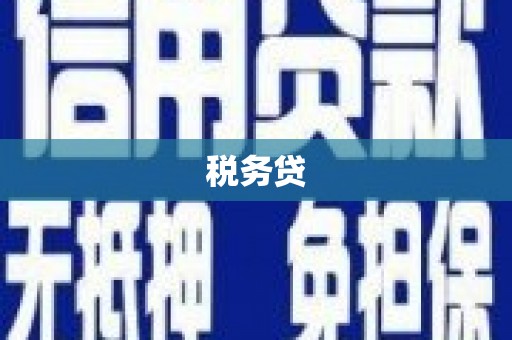金东税务贷