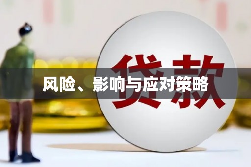 金东风险、影响与应对策略