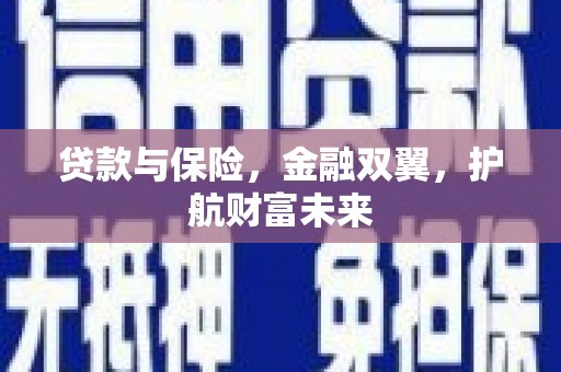 金东贷款与保险，金融双翼，护航财富未来