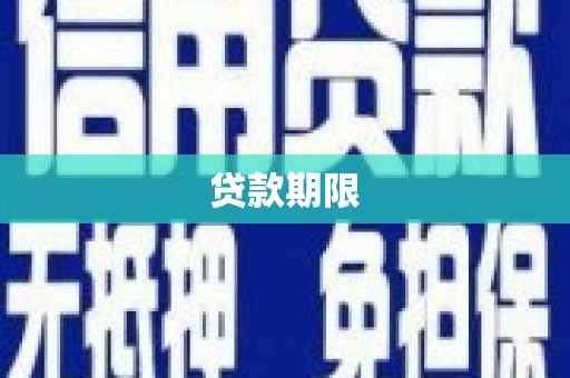 金东贷款期限