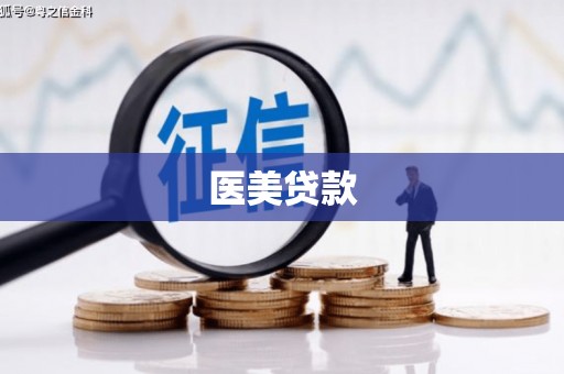 金东医美贷款