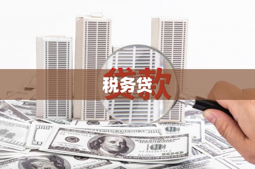 金东税务贷