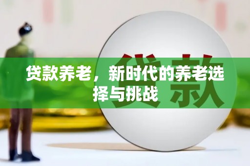 金东贷款养老，新时代的养老选择与挑战
