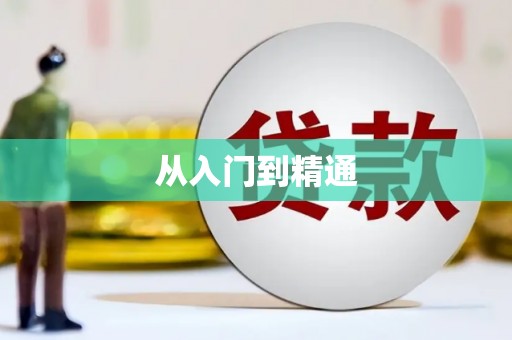 金东从入门到精通