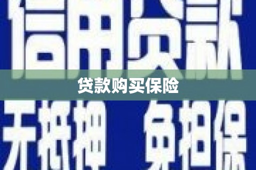 金东贷款购买保险