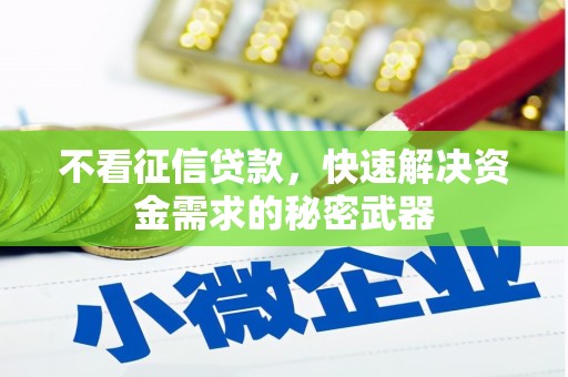 金东不看征信贷款，快速解决资金需求的秘密武器