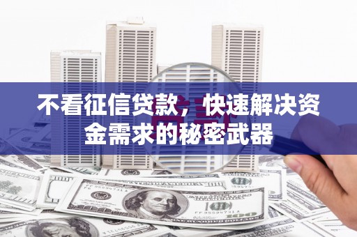 金东不看征信贷款，快速解决资金需求的秘密武器