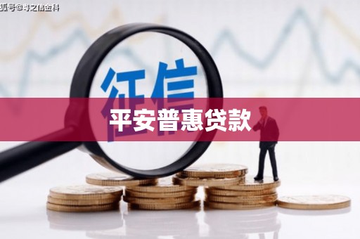 金东平安普惠贷款