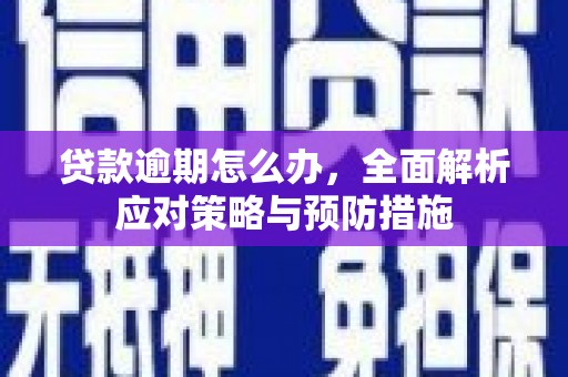 金东贷款逾期怎么办，全面解析应对策略与预防措施