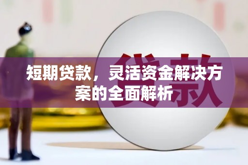 金东短期贷款，灵活资金解决方案的全面解析