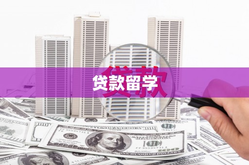 金东贷款留学