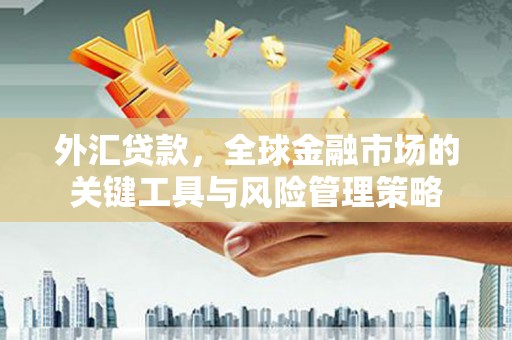 金东外汇贷款，全球金融市场的关键工具与风险管理策略
