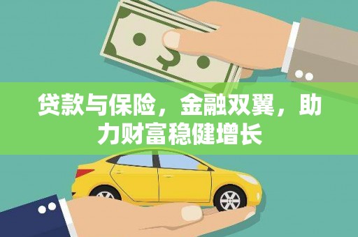 金东贷款与保险，金融双翼，助力财富稳健增长