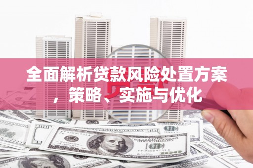 金东全面解析贷款风险处置方案，策略、实施与优化