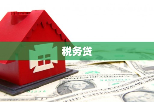 金东税务贷