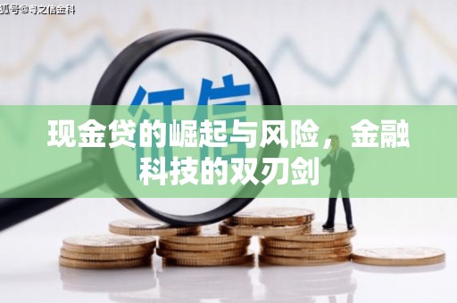 金东现金贷的崛起与风险，金融科技的双刃剑