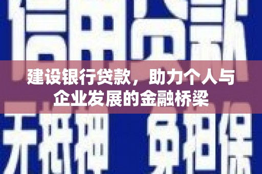 金东建设银行贷款，助力个人与企业发展的金融桥梁