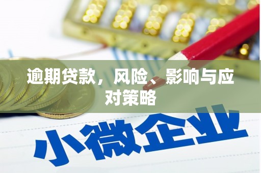 金东逾期贷款，风险、影响与应对策略