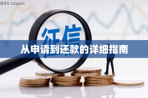 金东从申请到还款的详细指南