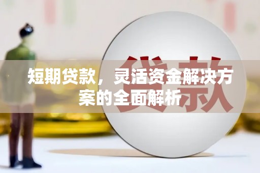 金东短期贷款，灵活资金解决方案的全面解析