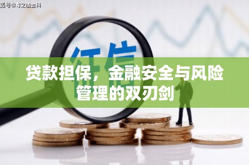 金东贷款担保，金融安全与风险管理的双刃剑