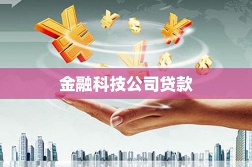 金东金融科技公司贷款